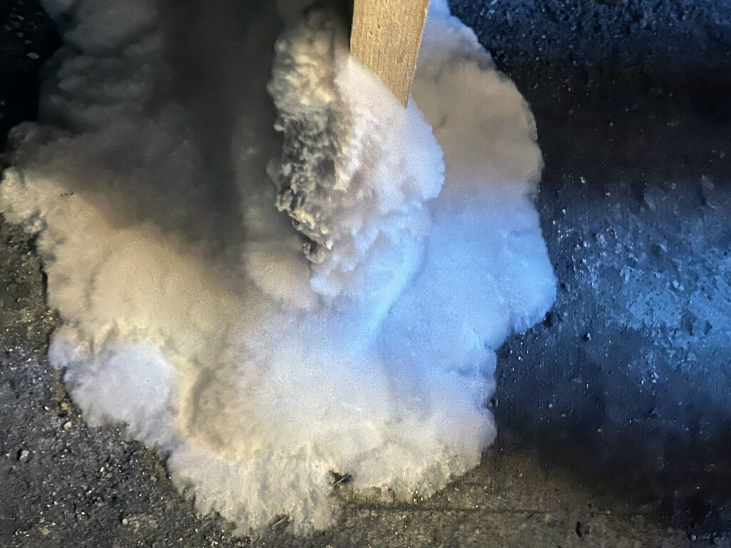 Ein Holzgestell im Keller: von hier aus wächst der Hausschwamm.