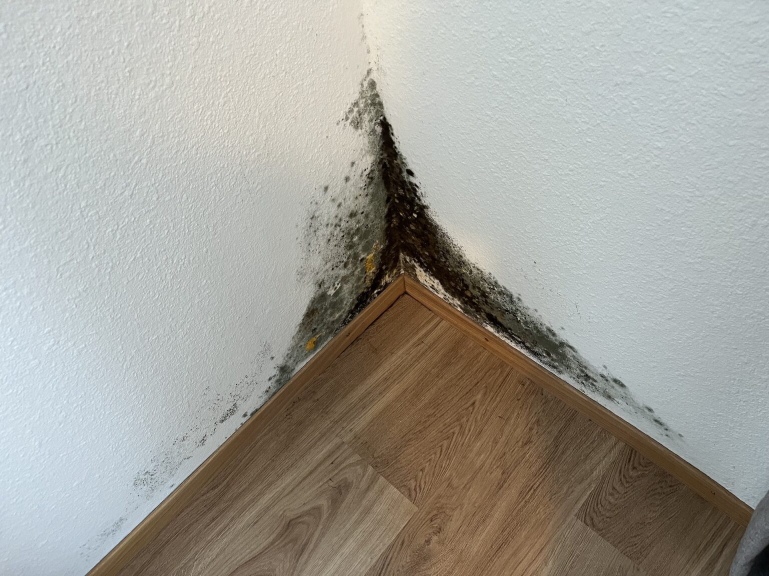 Richtig lüften - Schimmel vermeiden! - ntb BÜRKLI AG